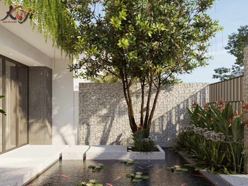 sân vườn sau nhà