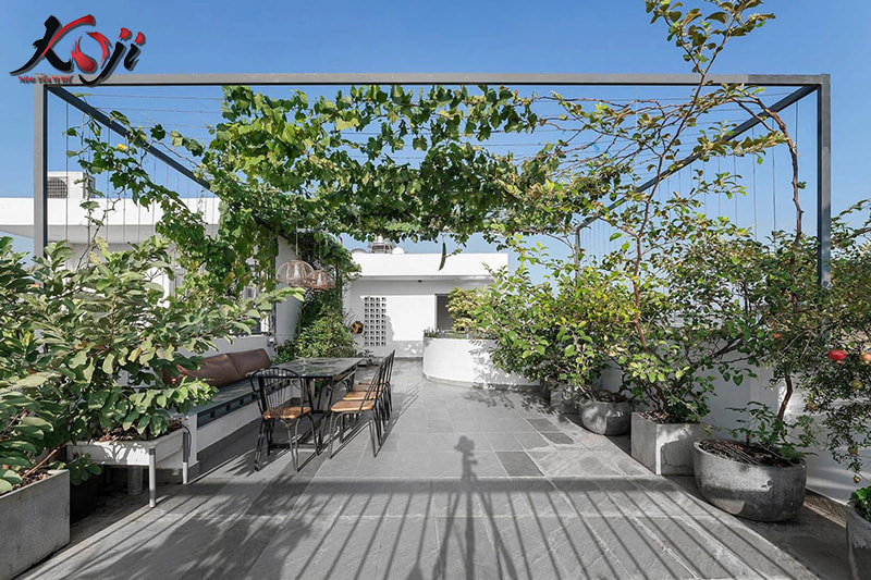 thiết kế sân vườn