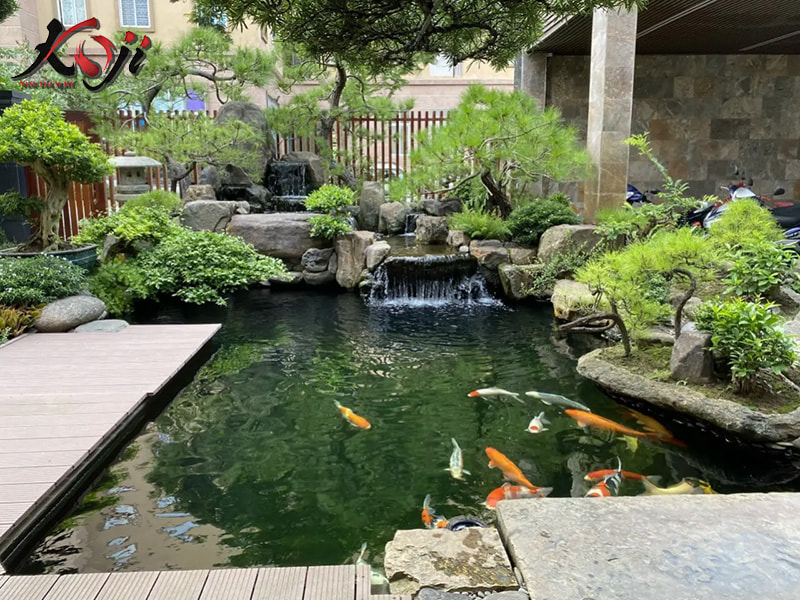 thiết kế sân vườn