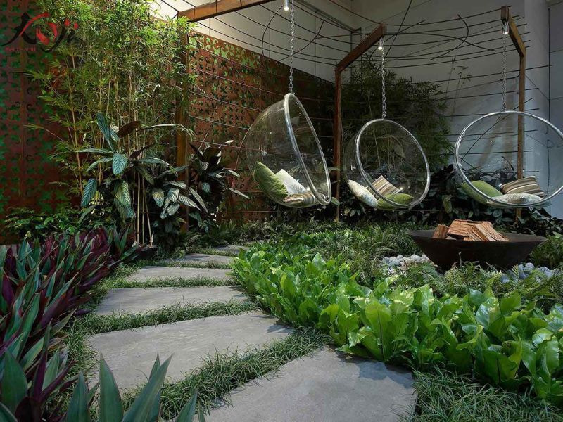 thiết kế vườn rau sau nhà