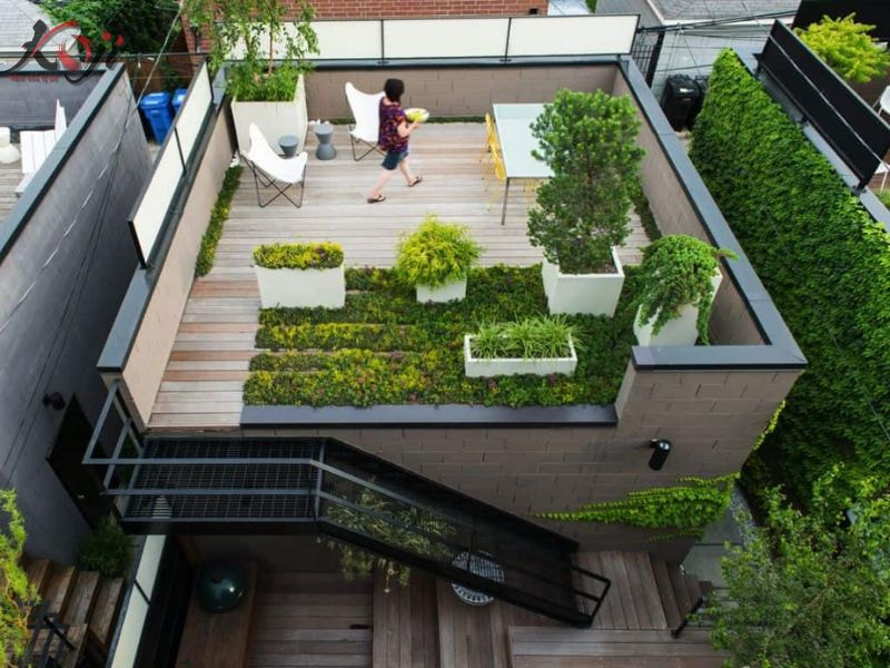 thiết kế vườn rau sau nhà
