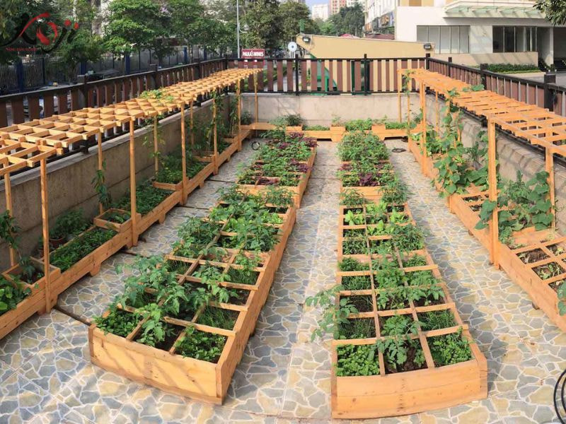 thiết kế vườn rau sau nhà