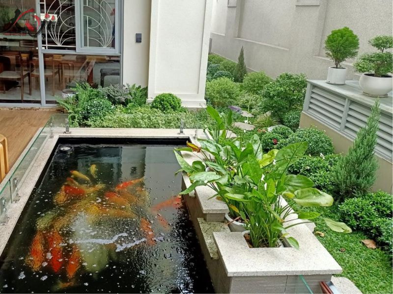 Tiểu cảnh sân thượng