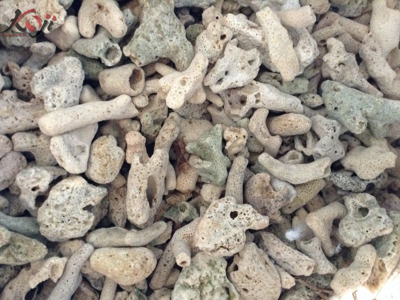 vật liệu lọc bể cá 