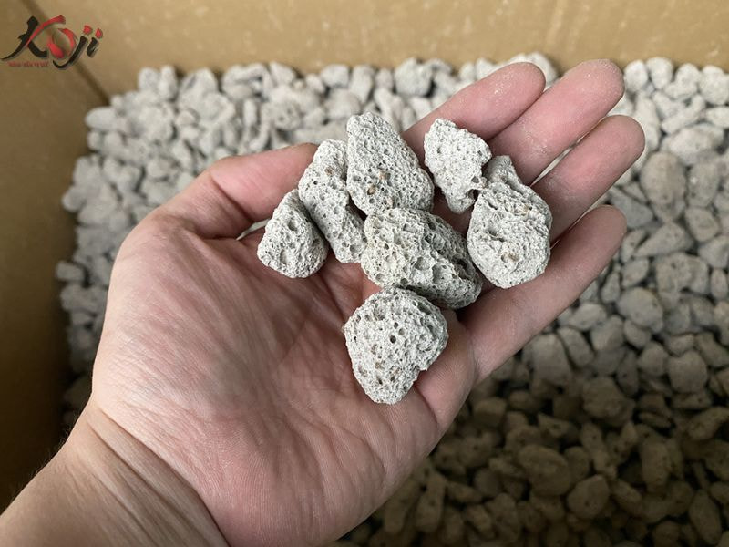 vật liệu lọc bể cá 