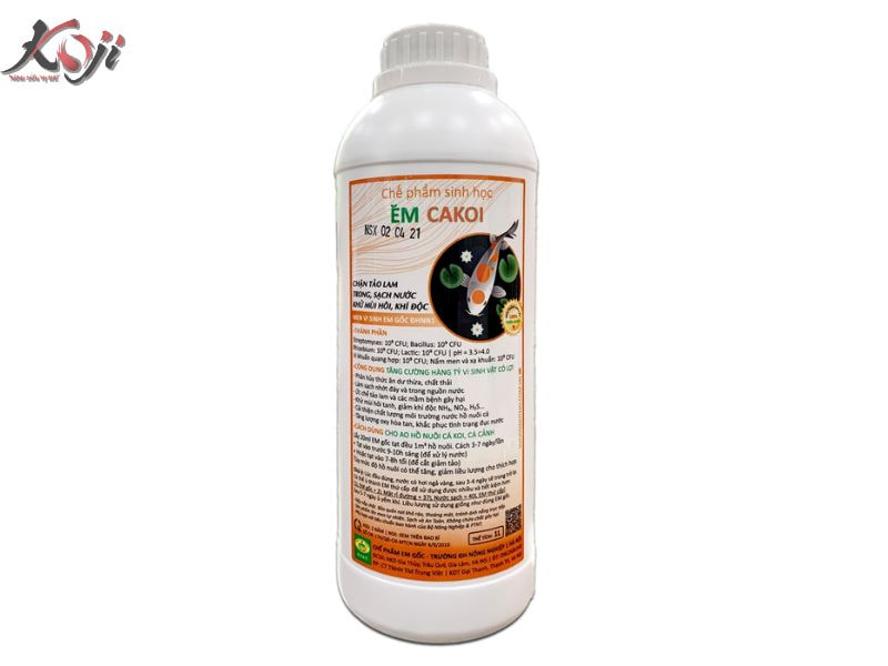 vi sinh cho bể cá Koi
