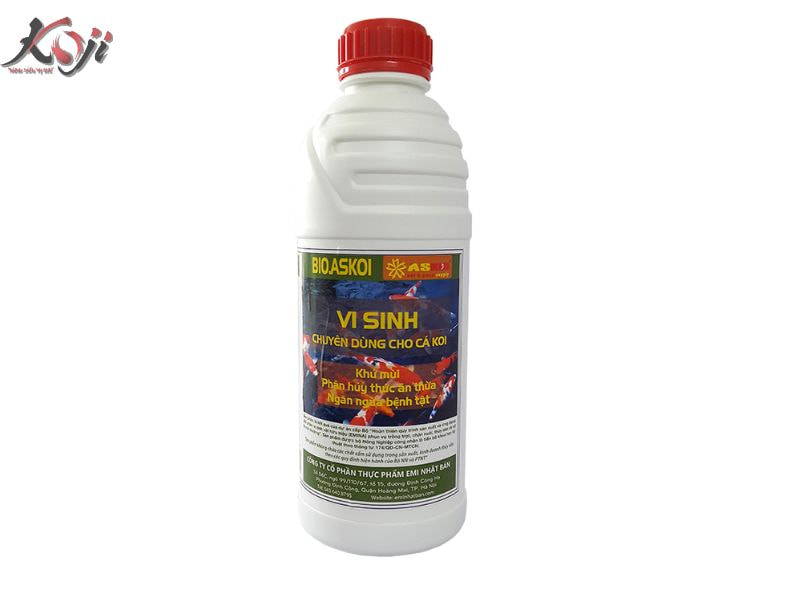 vi sinh cho bể cá Koi