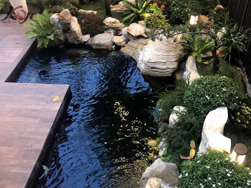 xây hồ cá Koi 10m2