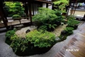Các mẫu sân vườn Nhật được yêu thích nhất