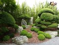 Những mẫu thiết kế sân vườn kiểu Nhật đẹp nhất    