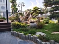 Koji chuyên thiết kế thi công cảnh quan sân vườn uy tín, chuyên nghiệp