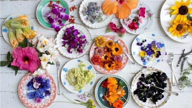 5 loài hoa sân vườn được sử dụng trong nấu ăn có thể bạn chưa biết