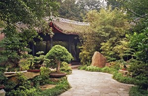 Bài Viết Sẽ Cho Bạn Biết Sân Vườn Châu Á Có Đẹp Như Lời Đồn?