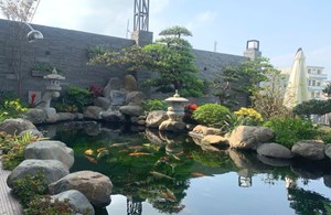 Sân vườn hồ cá Koi