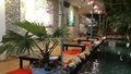 Mở quán cà phê hồ Koi ở Hà Nội | Tại sao không?