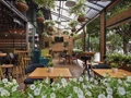 Cách bố trí sân vườn đẹp cho quán cafe