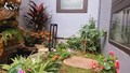 Kinh nghiệm làm sân vườn nhỏ đẹp tại nhà