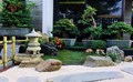 Đèn đá Nhật Bản: Điểm nhấn tinh tế cho không gian sân vườn