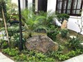 Dự án vườn Nhật độc đáo - anh Lĩnh - KĐT Vân Canh