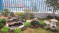 Cảnh quan sân vườn mini cho sân thượng - TSQ Galaxy Tố Hữu