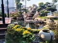 Cảnh quan dự án vườn Nhật hồ Koi cho biệt thự siêu đẹp - Vinhomes Oceanpark