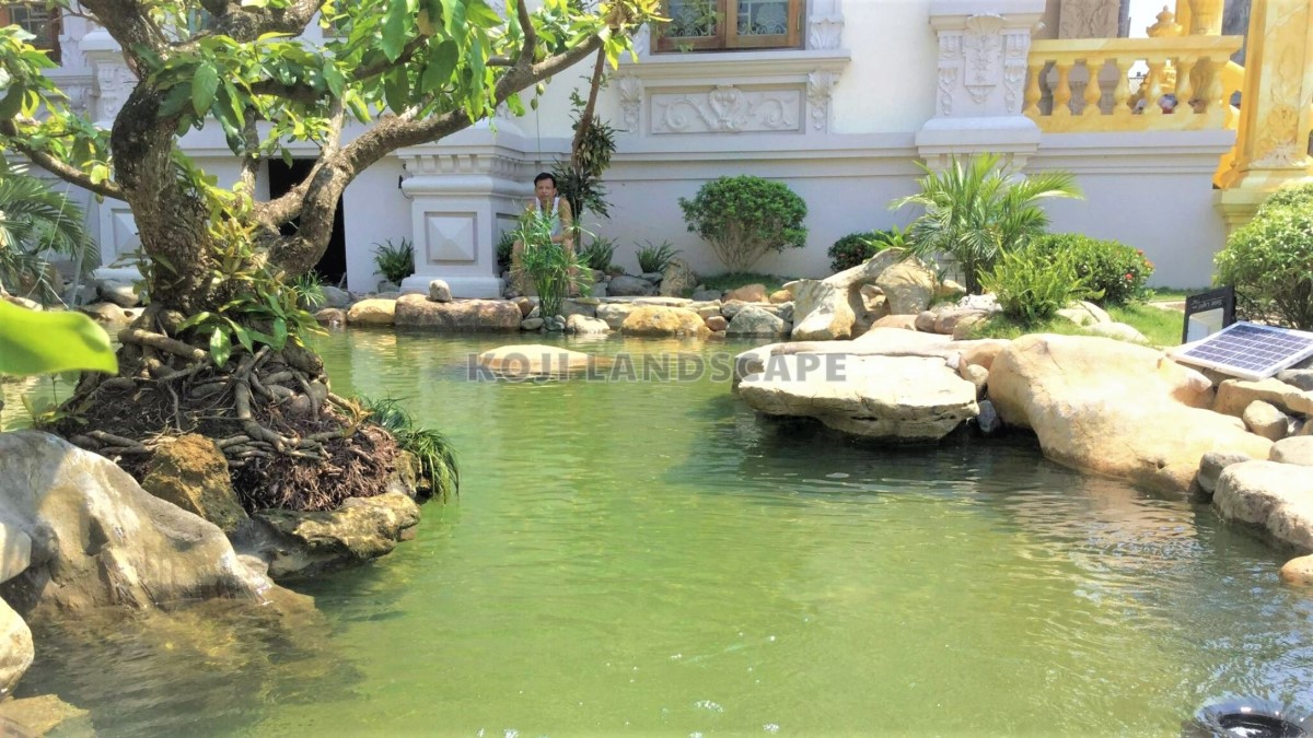 [NGHỆ NHÂN] Sân vườn hồ Koi đẳng cấp sang trọng cho biệt thự - Phú Thọ