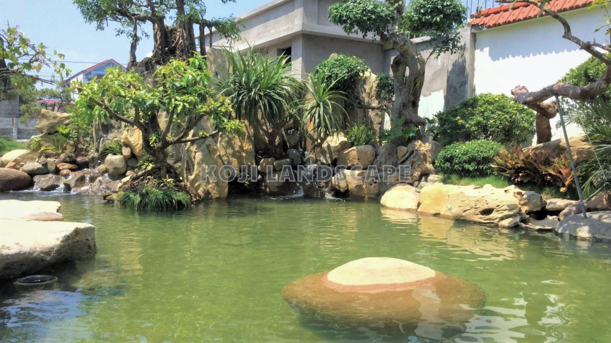 [NGHỆ NHÂN] Sân vườn hồ Koi đẳng cấp sang trọng cho biệt thự - Phú Thọ