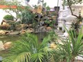 [NGHỆ NHÂN] Sân vườn hồ Koi đẳng cấp cho biệt thự - Phú Thọ