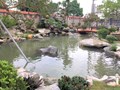[NGHỆ NHÂN] Cảnh Quan Sân Vườn Và Hồ Cá Koi "Đẹp Ngất Ngây" Cho Sân Vườn Biệt Thự