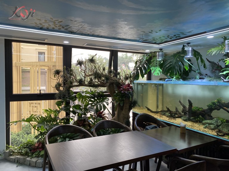 Không gian quán cafe với bể cá thủy sinh có 1 0 2 tại Hà Nội