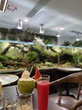 Không gian quán cafe với bể cá thủy sinh có 1 0 2 tại Hà Nội