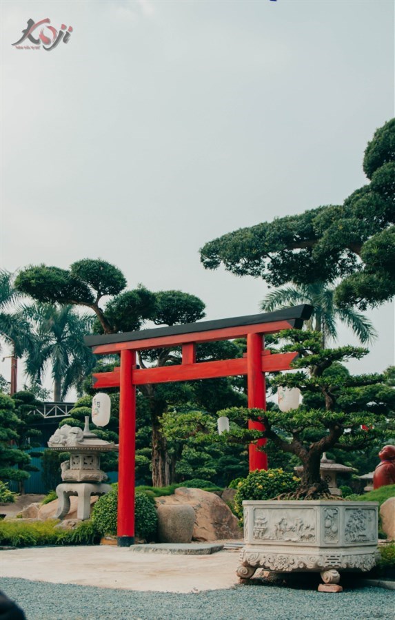 Vườn Tùng Nhật bạc tỷ bên ngoại thành Hà Nội