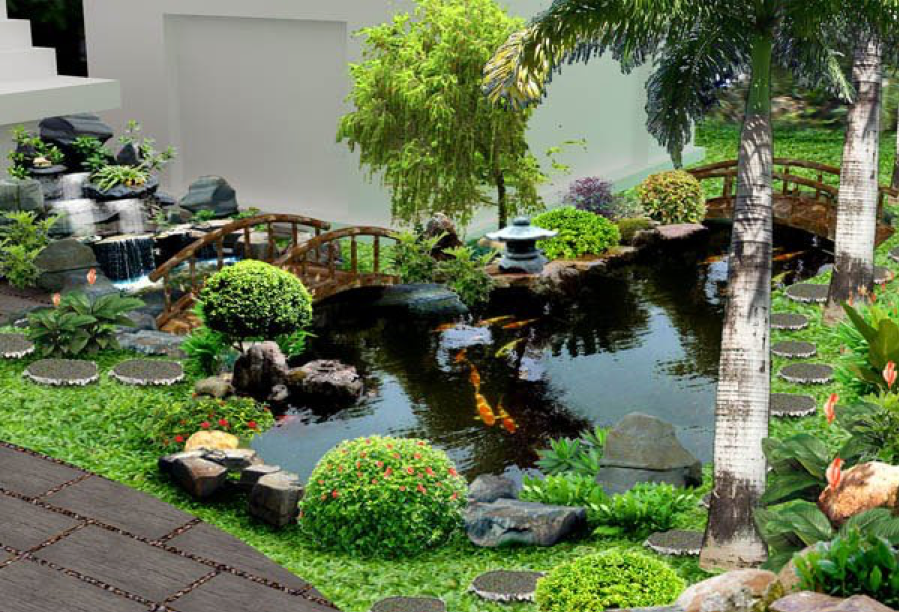 quan cảnh hồ cá