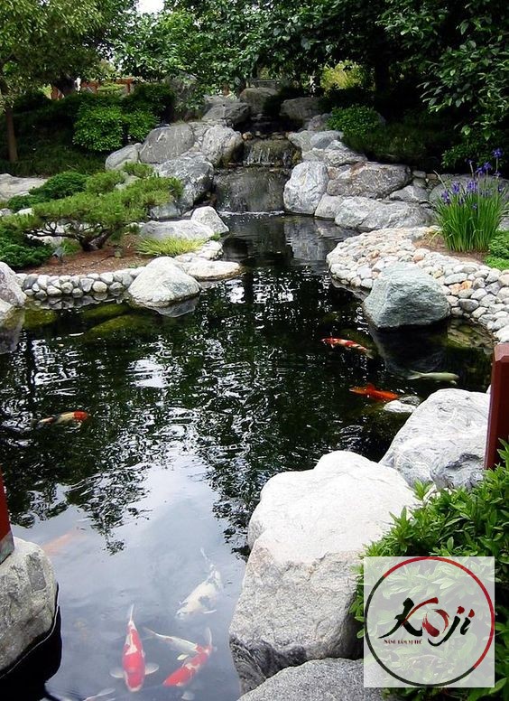 HÔ KOI KẾT HỢP ĐÁ TẢN TO