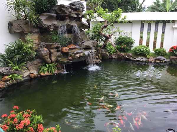 Mẫu hồ thác nước nhỏ