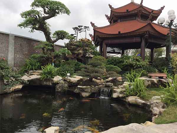 Mẫu sân vườn hồ koi thư giãn