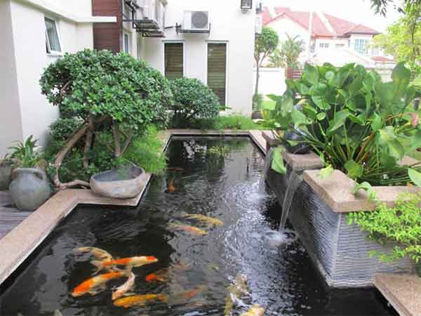 mẫu thiết kế dạng bể