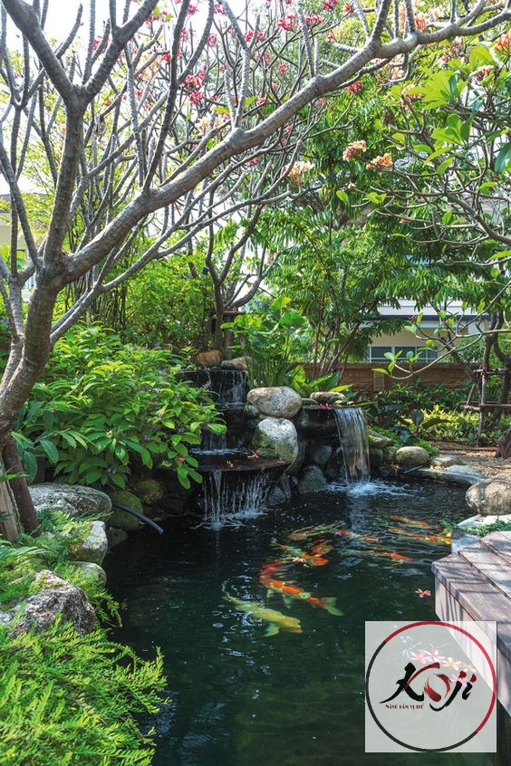 HỒ KOI NHẬT CẢNH QUAN SÂN VƯỜN