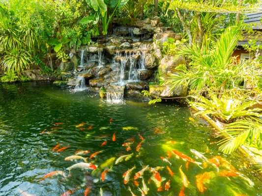 Thiết kế tiểu cảnh đơn giản với cây xanh và hồ nước của Nhật