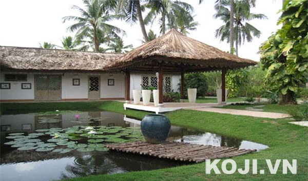 Sân vườn kết hợp hồ trồng hoa sen, hoa súng loài hoa đặc trưng của Việt Nam