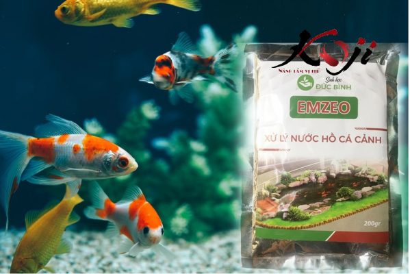Sản phẩm hỗ trợ tạo men vi sinh