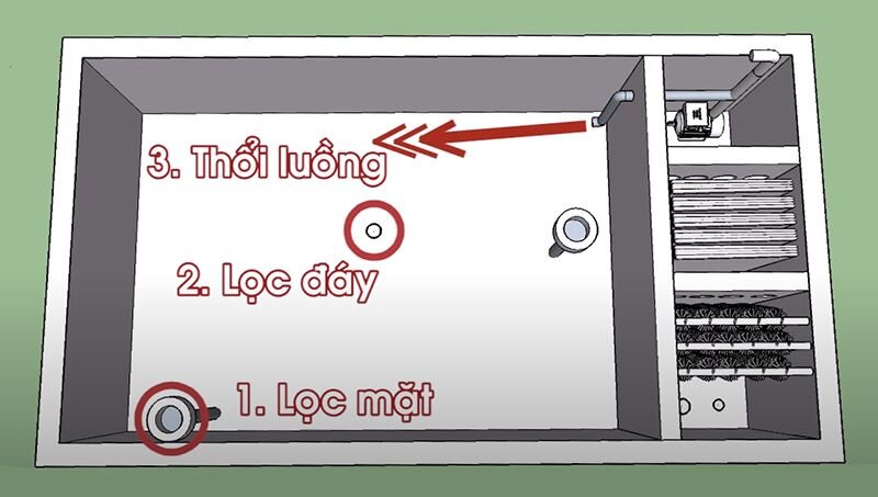 loc-mat-loc-day-thoi-luong