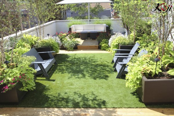Trồng cây to trên sân thượng giúp điều hòa không khí