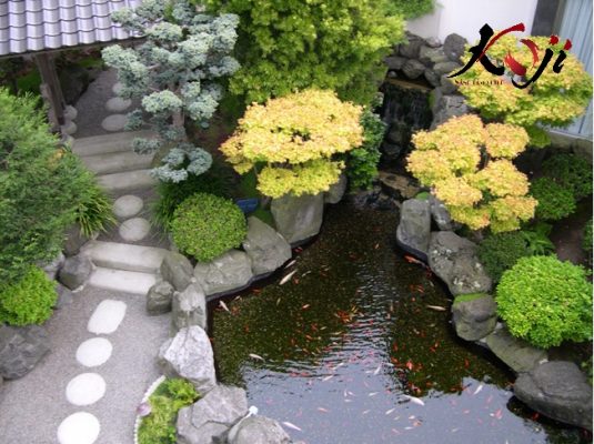 Kết hợp hồ cá koi