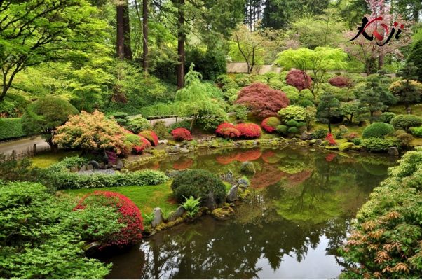 Kiểu sân vườn Nhật kết hợp hồ nước