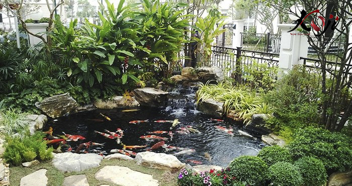 Thiết kế sân vườn biệt thư hồ koi