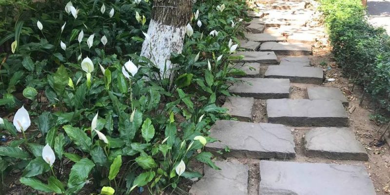 Hình dáng của các mẫu đá bước dạo rất đa dạng