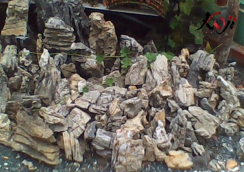 Đá tai mèo được sử dụng trong trang trí sân vườn