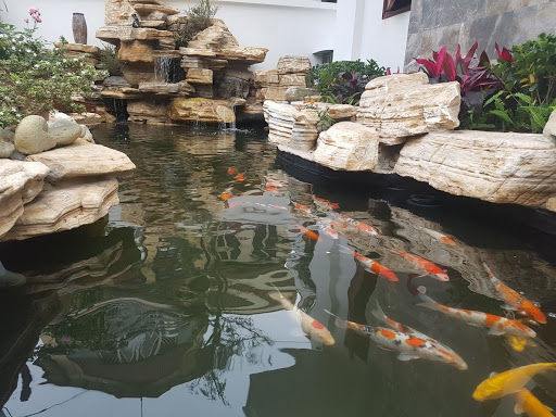 Công trình hồ cá koi hòn non bộ sau khi thi công