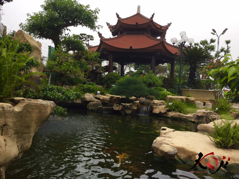 Hồ cá koi quán cafe sân vườn Lưu Gia Trang